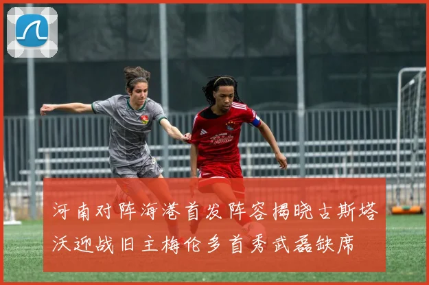 河南对阵海港首发阵容揭晓古斯塔沃迎战旧主梅伦多首秀武磊缺席