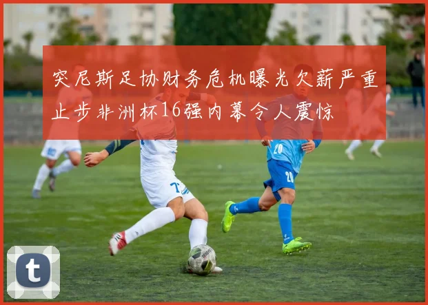 突尼斯足协财务危机曝光欠薪严重止步非洲杯16强内幕令人震惊